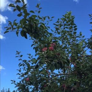 Meet your Posher, Stacey