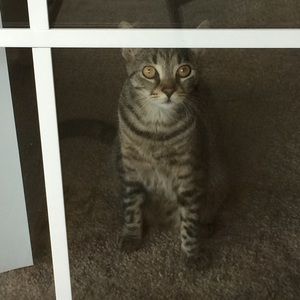 Meet your Posher, Marian