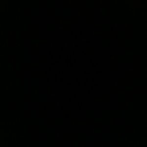 Meet your Posher, Sonia