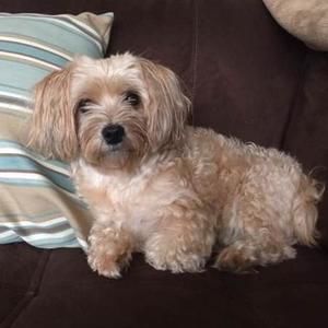 Meet your Posher, Meiling