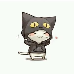 Meet your Posher, Kathleen