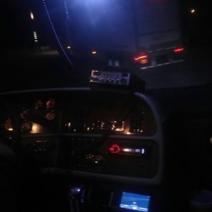 Meet your Posher, Marlene