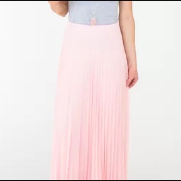 Stunning Pale Pink Pleated Maxi Skirt