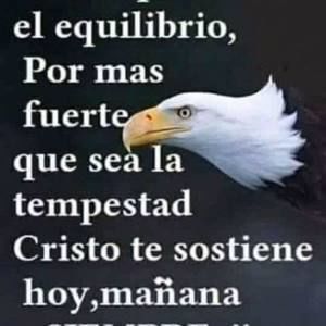 Meet your Posher, Israel