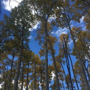 Meet your Posher, Jeff