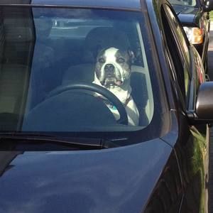 Meet your Posher, Meg