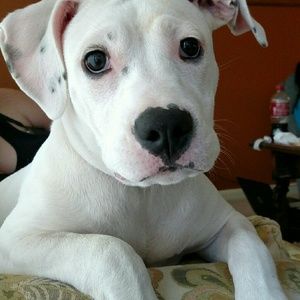 Meet your Posher, Aubrie