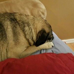 Meet your Posher, Marc