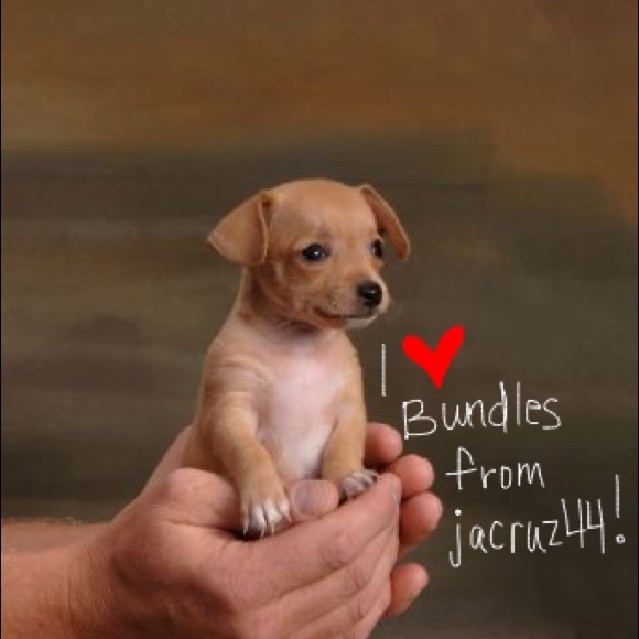 Bundles - image 1