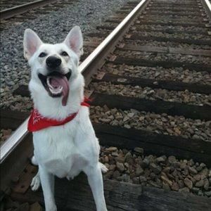 Meet your Posher, Daniela