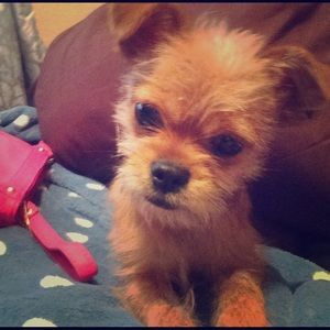 It's a fabulous day to posh!!!!