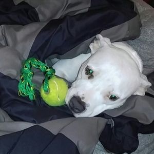 Meet your Posher, Eddie