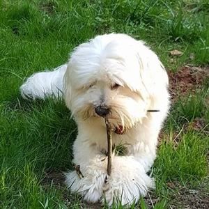 Meet your Posher, Angela