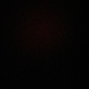 Meet your Posher, Lucy