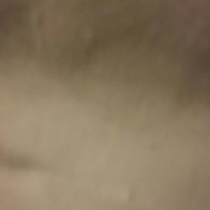 Meet your Posher, Janessa