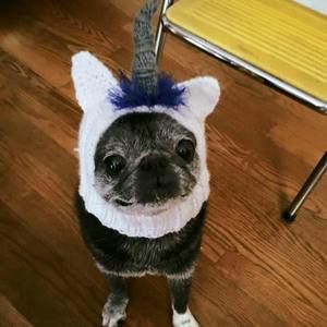 Meet your Posher, Diane