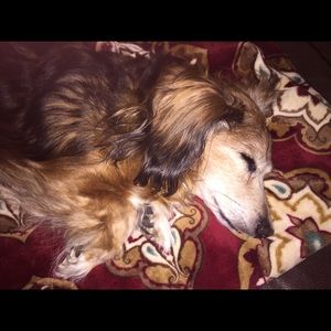 Meet your Posher, Kristy