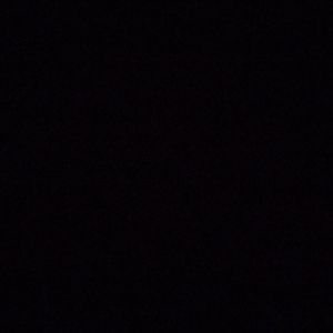 Meet your Posher, Cleo