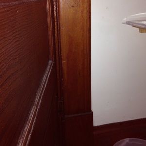 Meet your Posher, Noah