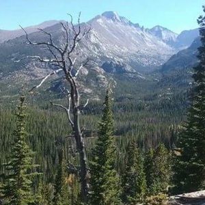 Meet your Posher, Theresa