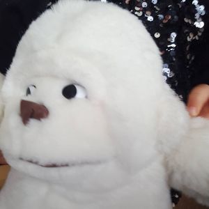 Meet your Posher, Jeni