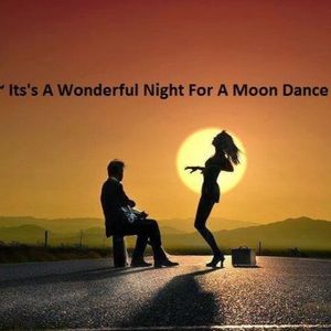 Meet your Posher, Saylor