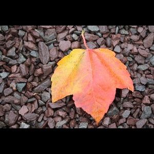 Meet your Posher, Kris