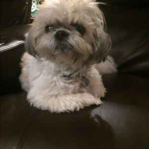 Meet your Posher, Mary