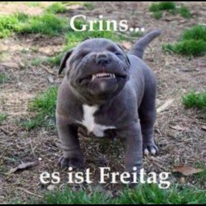 Meet your Posher, Christa