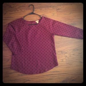 J Crew Xs Top