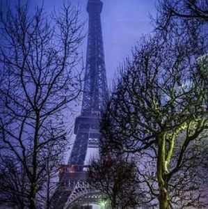 Meet your Posher, Daisy