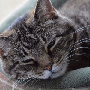 Meet your Posher, Teresa