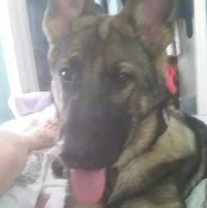 Meet your Posher, Savannah