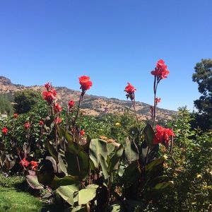 Meet your Posher, Luisana