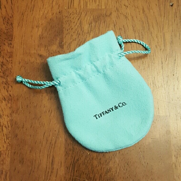 3.5 x 2.5 small tiffany  & co pouch duster sleeper