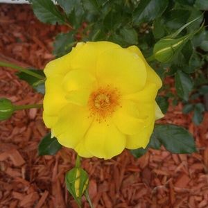 Meet your Posher, Kristina