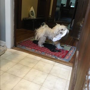 Meet your Posher, Kloe