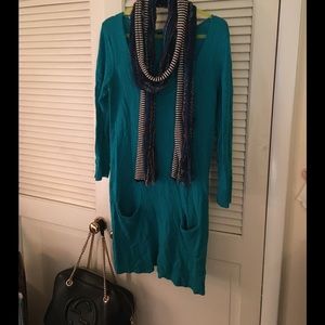 Final price!Express deep v-neck long dress sweater