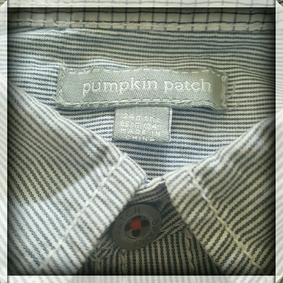 Pumpkin Patch Button Down Shirt - Picture 2 of 4