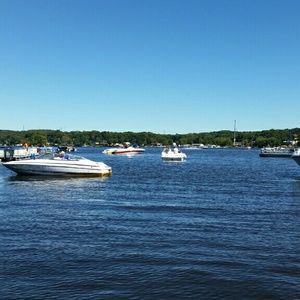 Meet your Posher, Roy