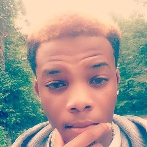 Meet your Posher, Alvin