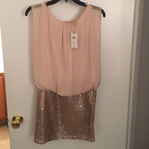 Cashe size 2 dress. NWT!