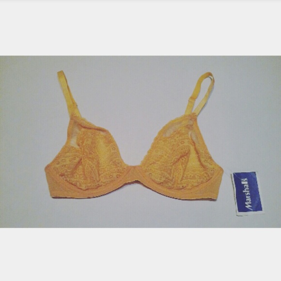 Slightly Sheer Bra / Bralette