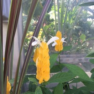 Meet your Posher, Paula