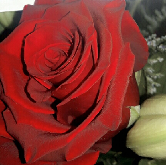 Meet your Posher, Ndey haddy - Picture 1 of 1