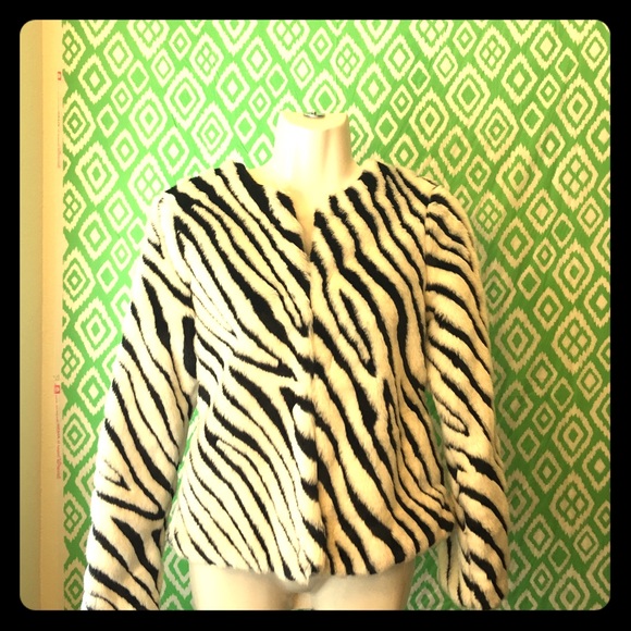 ✨H&M Faux Fur Zebra Skin Fleece Coat! 😱😱😱