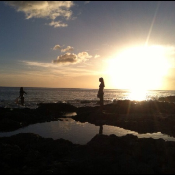 Meet your Posher, Parker - Picture 1 of 1