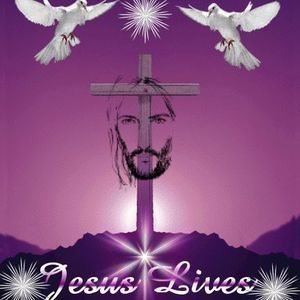 Meet your Posher, Pam