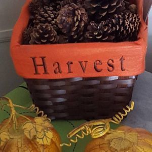 Meet your Posher, Claudia