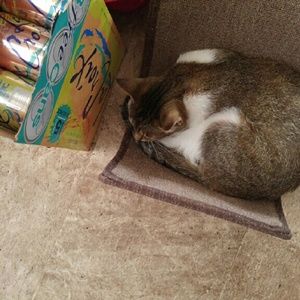 Meet your Posher, Karen